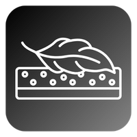 Sistema manos libres (Sin cordones)